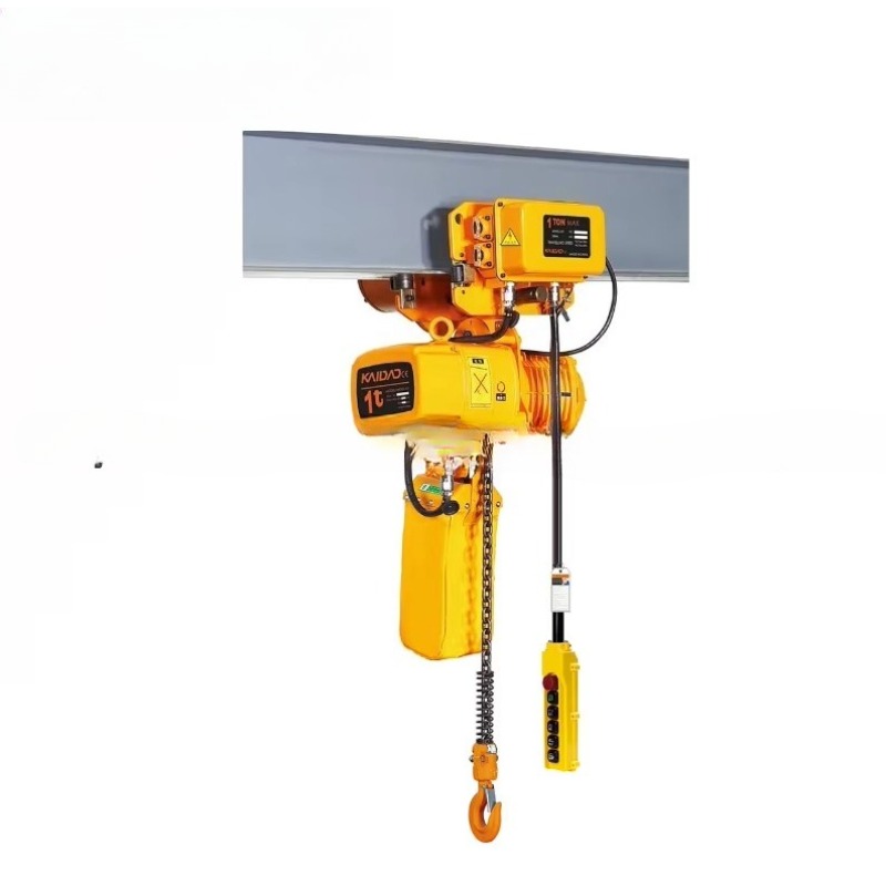 Dual Speed Electric Chain Hois - Heavy Equipment Lift ulasan dan harga